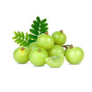 Gooseberry Amla