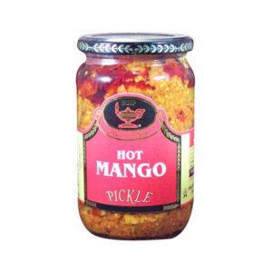 Deep Mango Pickle Hot