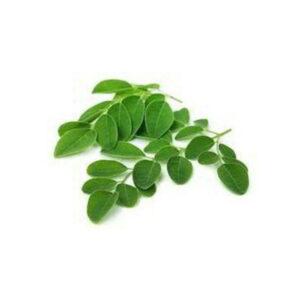 Moringa Leaves