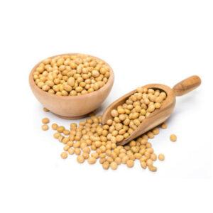 Soya Beans