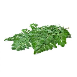 Moringa Drumstick Leaves