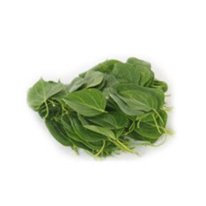 Agunakola Leaves