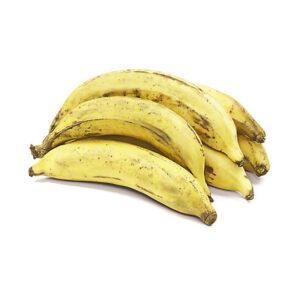 Plantain