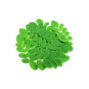Moringa Leaves