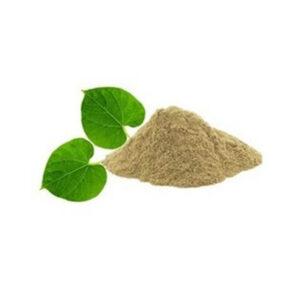 Giloy Powder