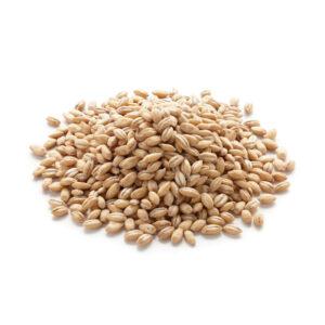 Barley Jaow Pearled