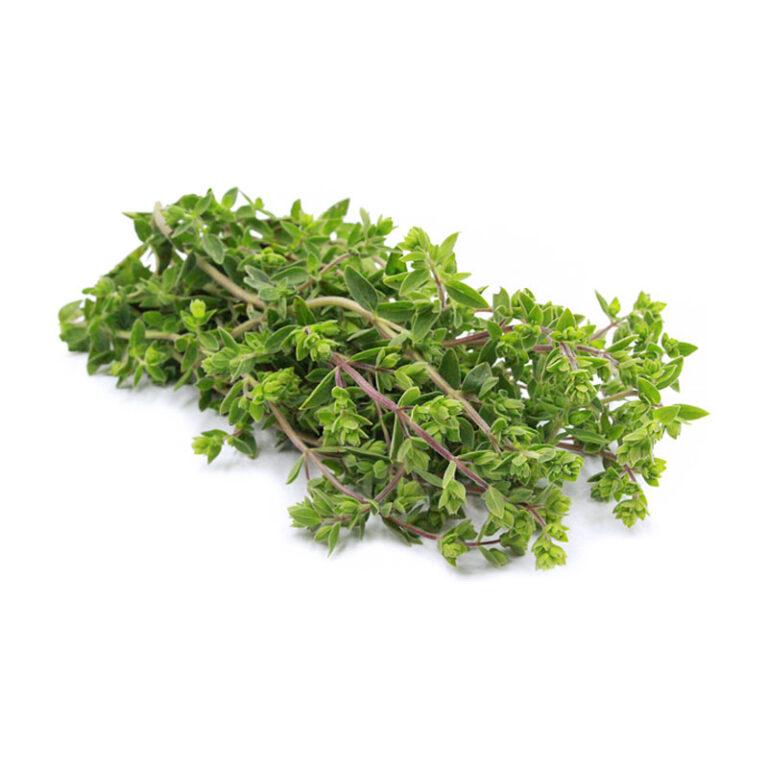 Marjoram dry Spice Centre