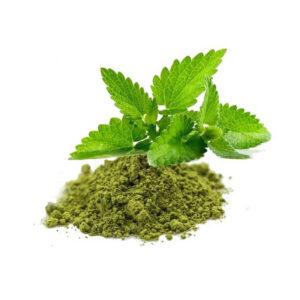Tulsi Powder
