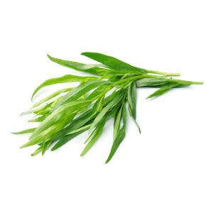 Tarragon Leaves