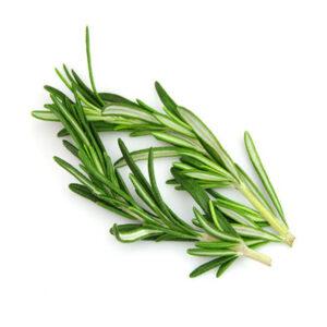 Rosemary Leaves dry