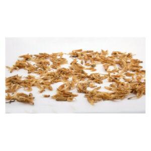 Kooni Baby Shrimp Dry Salted