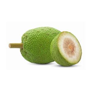 Breadfruit