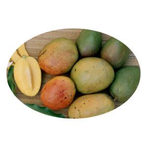 Jamaican Mangoes